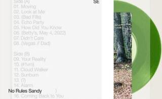 Vinyl Record Sylvan Esso - No Rules Sandy (Leaf Green Coloured) (LP)