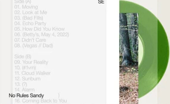 LP ploča Sylvan Esso - No Rules Sandy (Leaf Green Coloured) (LP) - 1