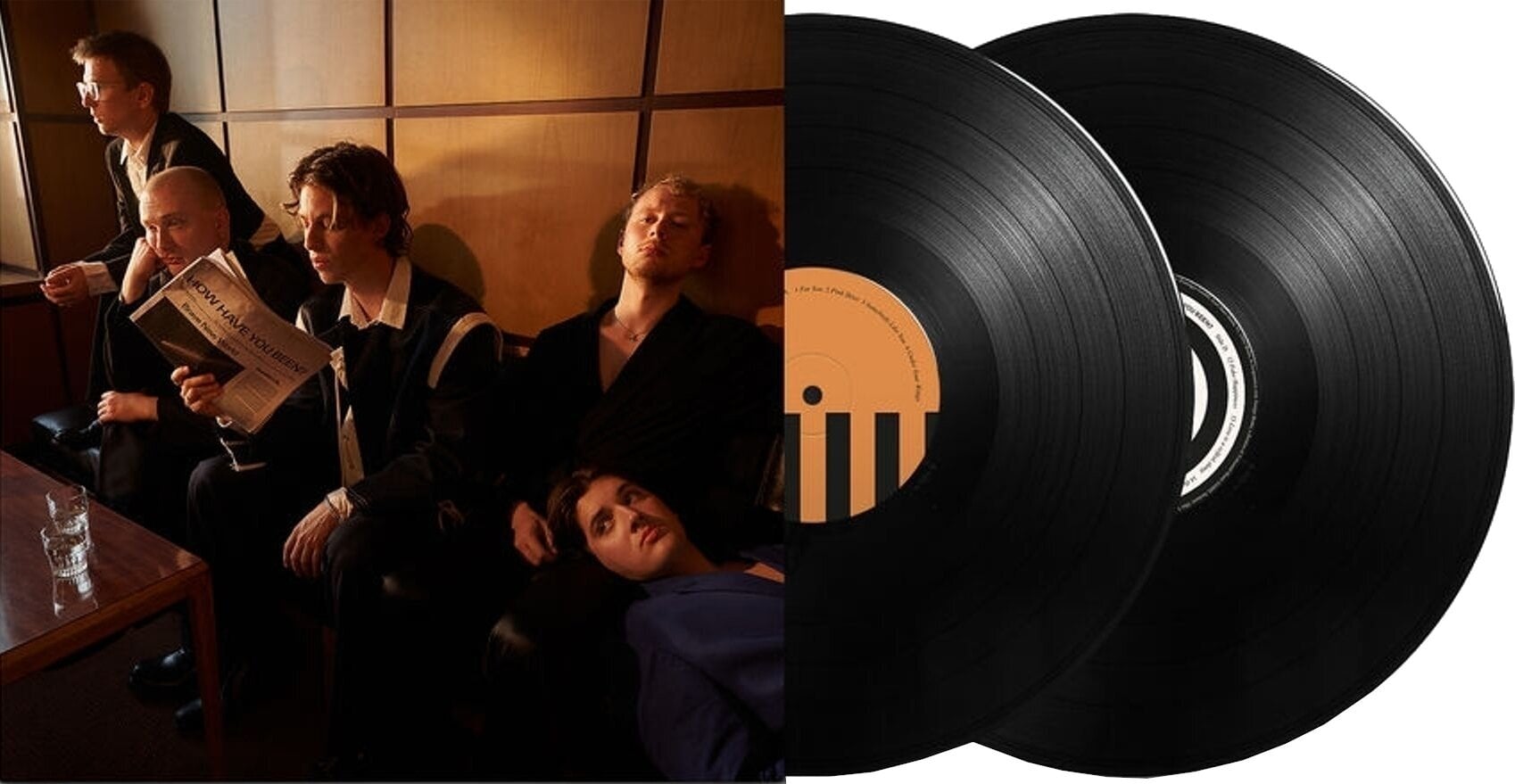 LP ploča Giant Rooks - How Have You Been (180g) (2 LP)