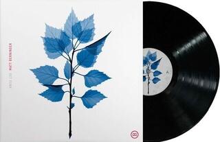 Schallplatte Matt Berninger - Get Sunk (LP)