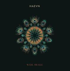 LP ploča HAEVN - Wide Awake (LP)
