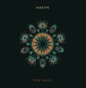LP ploča HAEVN - Wide Awake (LP) - 1