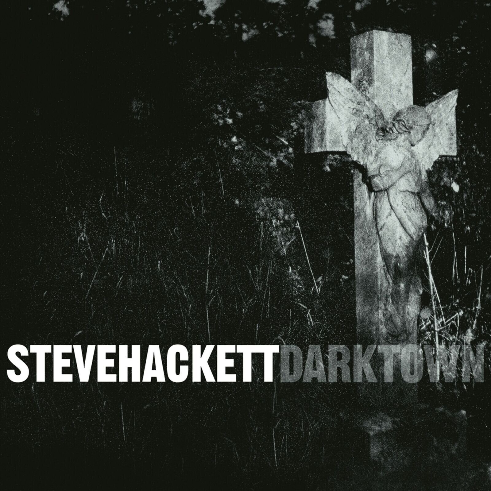Disque vinyle Steve Hackett - Darktown (Reissue) (180g) (2 LP)