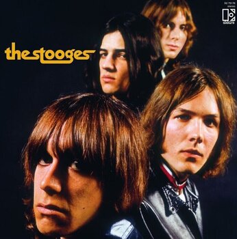 LP ploča The Stooges - The Stooges (Reissue) (Gatefold) (2 LP) - 1
