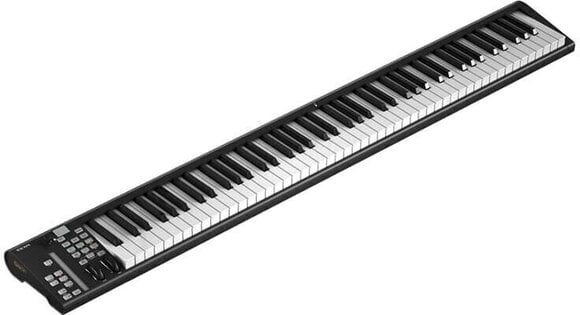 MIDI-Keyboard iCON Pro Audio Artist 88x MIDI-Keyboard - 1