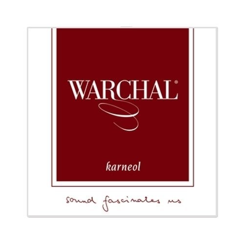 Violinska struna Warchal KARNEOL set E-ball