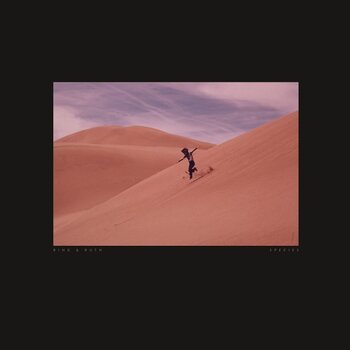 LP ploča Bing & Ruth - Species (2 LP) - 1