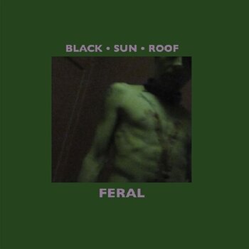 LP ploča Black Sun Roof - Feral (LP + CD) - 1