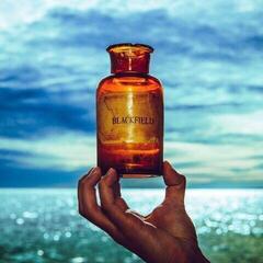 LP ploča Blackfield - Blackfield V (LP)