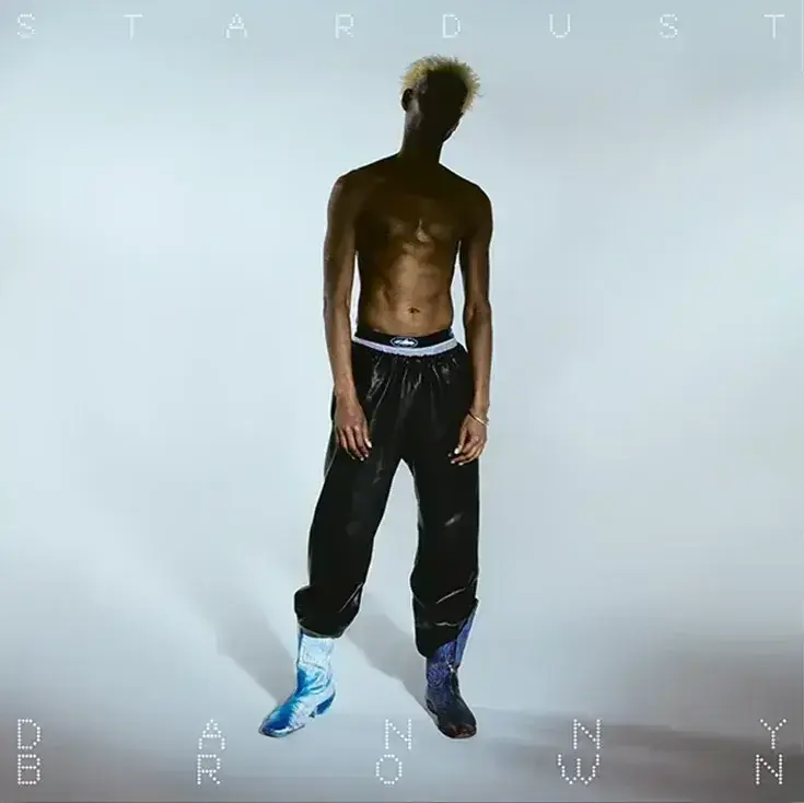 Грамофонна плоча Danny Brown - Stardust (Gatefold Sleeve) (White Coloured) (2 LP)