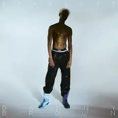 Disc de vinil Danny Brown - Stardust (Gatefold Sleeve) (White Coloured) (2 LP)