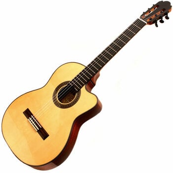 Klasická gitara Pasadena AG100 - 1