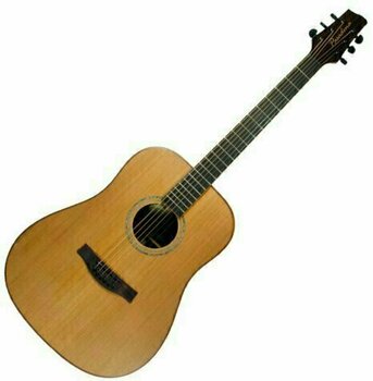Guitarra dreadnought Pasadena D355S - 1