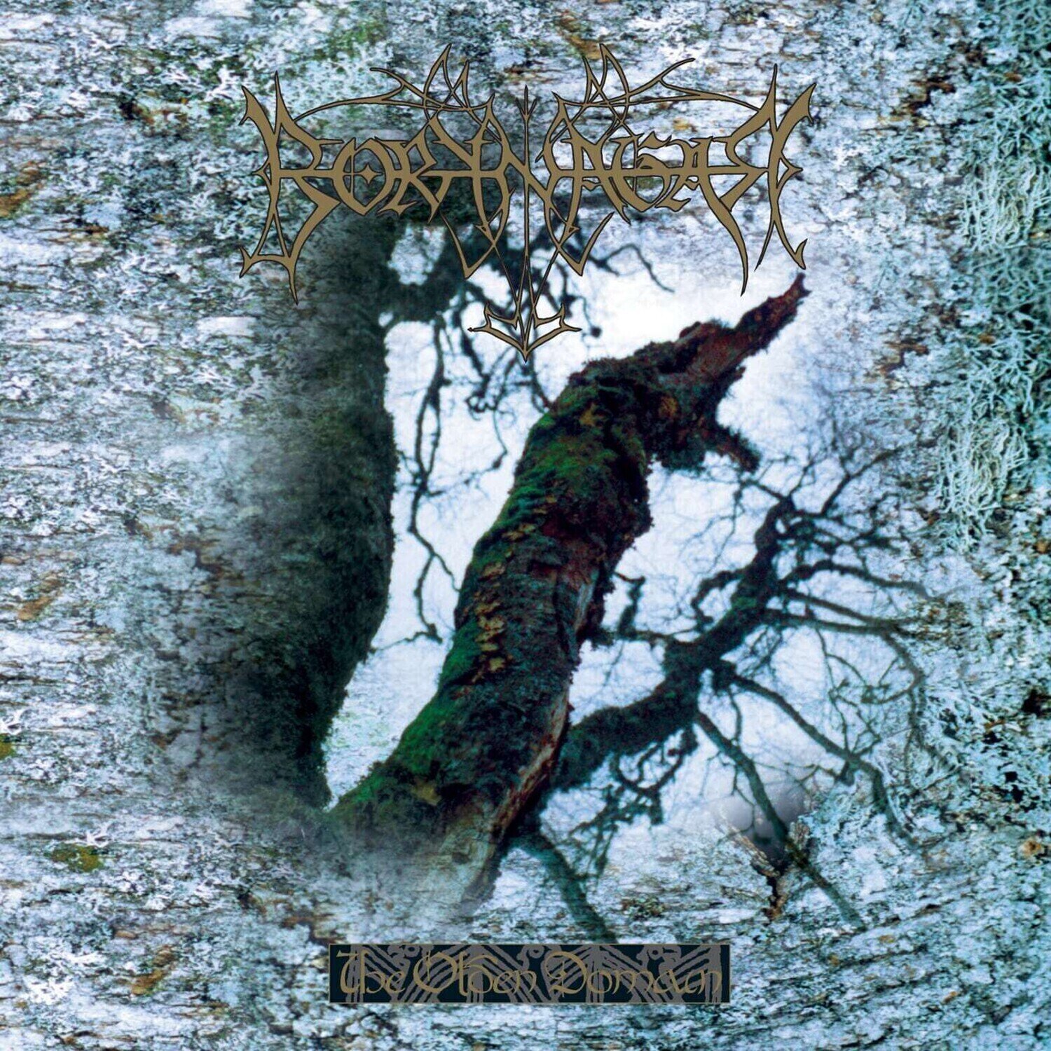 LP ploča Borknagar - The Olden Domain (Limited Edition) (Reissue) (Red Coloured) (LP)