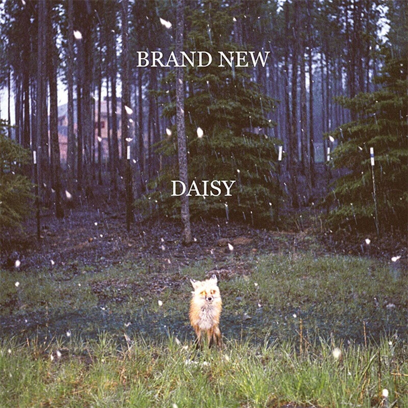 LP ploča Brand New - Daisy (Gatefold Sleeve) (180 g) (LP)