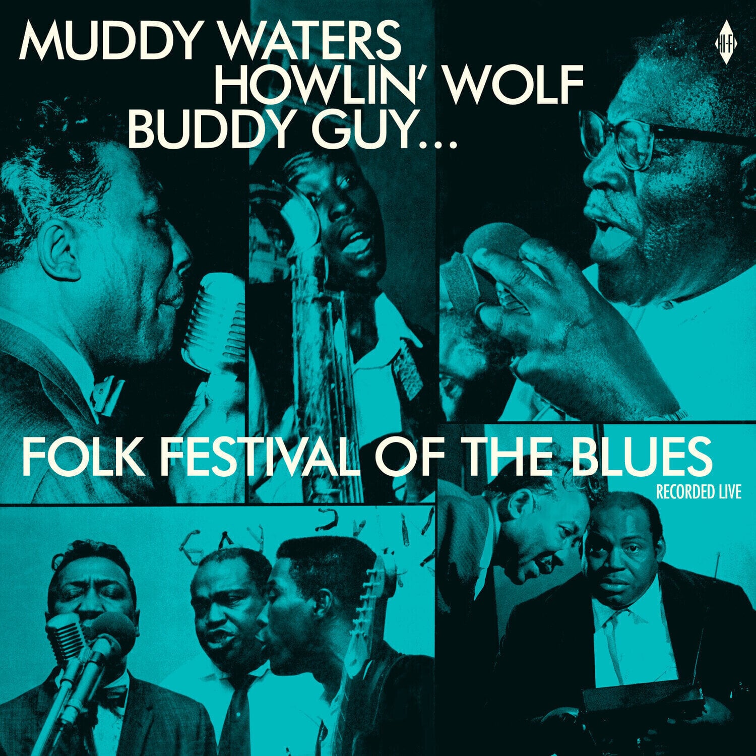 LP ploča Muddy Waters - Folk Festival Of The Blues (180 g) (LP)