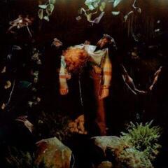 LP ploča Cavetown - Worm Food (LP)