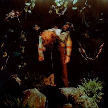 Disc de vinil Cavetown - Worm Food (LP) - 1