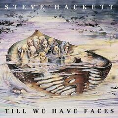 Vinilinė plokštelė Steve Hackett Till We Have Faces (Reissue) (Remastered) (LP)