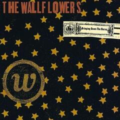 LP The Wallflowers - Bringing Down The Horse (Reissue) (Anniversary Edition) (2 LP)