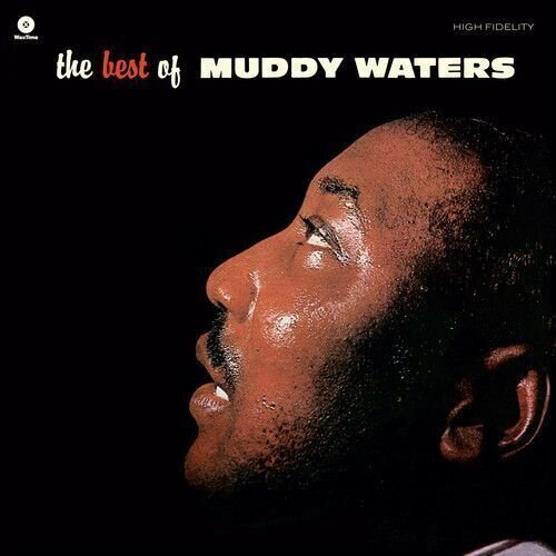 LP ploča Muddy Waters - The Best Of Muddy Waters (180 g) (LP)