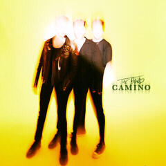 LP deska The Band Camino - The Band Camino (LP)