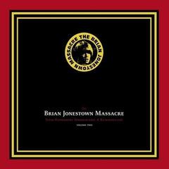 Vinyl Record The Brian Jonestown Massacre - Tepid Peppermint Wonderland: A Retrospective Volume Two (Reissue) (2 LP)