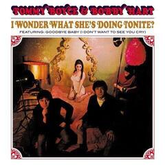 LP plošča Tommy Boyce & Bobby Hart - I Wonder What She's Doing Tonite? (Reissue) (Remastered) (Anniversary/Limited Edition) (Red Coloured) (180 g) (LP)