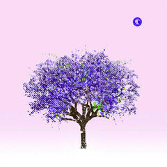 LP plošča Eels - Tomorrow Morning (Reissue) (LP)