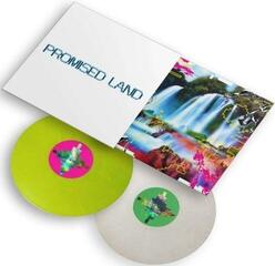 Schallplatte Vintage Culture - Promised Land (Limited Edition) (Marbled Clear White/Marbled Apple Green Coloured) (2 LP)