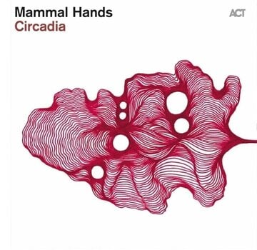 Schallplatte Mammal Hands - Circadia (Limited Edition) (Crystal Clear Coloured) (180 g) (LP) - 1