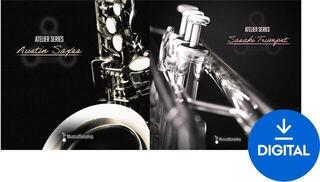 Zvučna knjižnica za efekte Musical Sampling Atelier Series Austin Bundle (Digitalni proizvod)