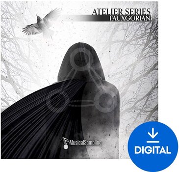 Bibliotecă de sunet pentru samplere Musical Sampling Atelier Series Fauxgorian (Produs digital) - 1