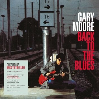 LP ploča Gary Moore - Back To The Blues (Reissue) (2 LP) - 1