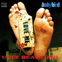 LP deska Babybird - Ugly Beautiful (Limited Edition) (2 LP)
