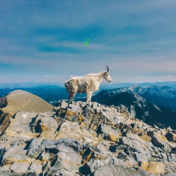 Vinüülplaat Liima - ii (LP) - 1