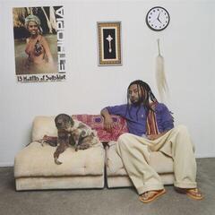 Vinylplade Aminé - 13 Months Of Sunshine (45 RPM) (Limited Edition) (Purple Coloured) (2 LP)