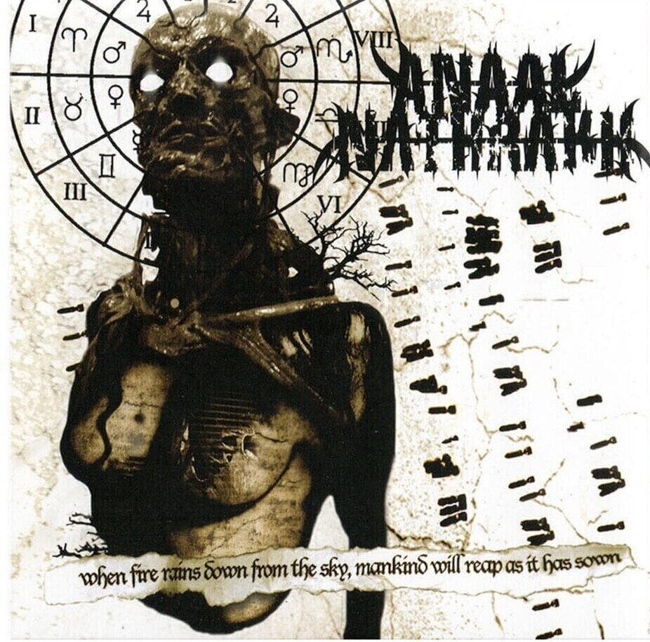 Disc de vinil Anaal Nathrakh - When Fire Rains Down From The Sky, Mankind Will Reap As It Has Sown (Limited Edition) (Clear Ash Grey Coloured) (LP)