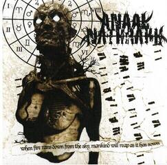 LP ploča Anaal Nathrakh - When Fire Rains Down From The Sky, Mankind Will Reap As It Has Sown (Limited Edition) (Clear Ash Grey Coloured) (LP)