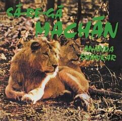 Vinüülplaat Ananda Shankar - Sā-Re-Gā Machān (Reissue) (LP)