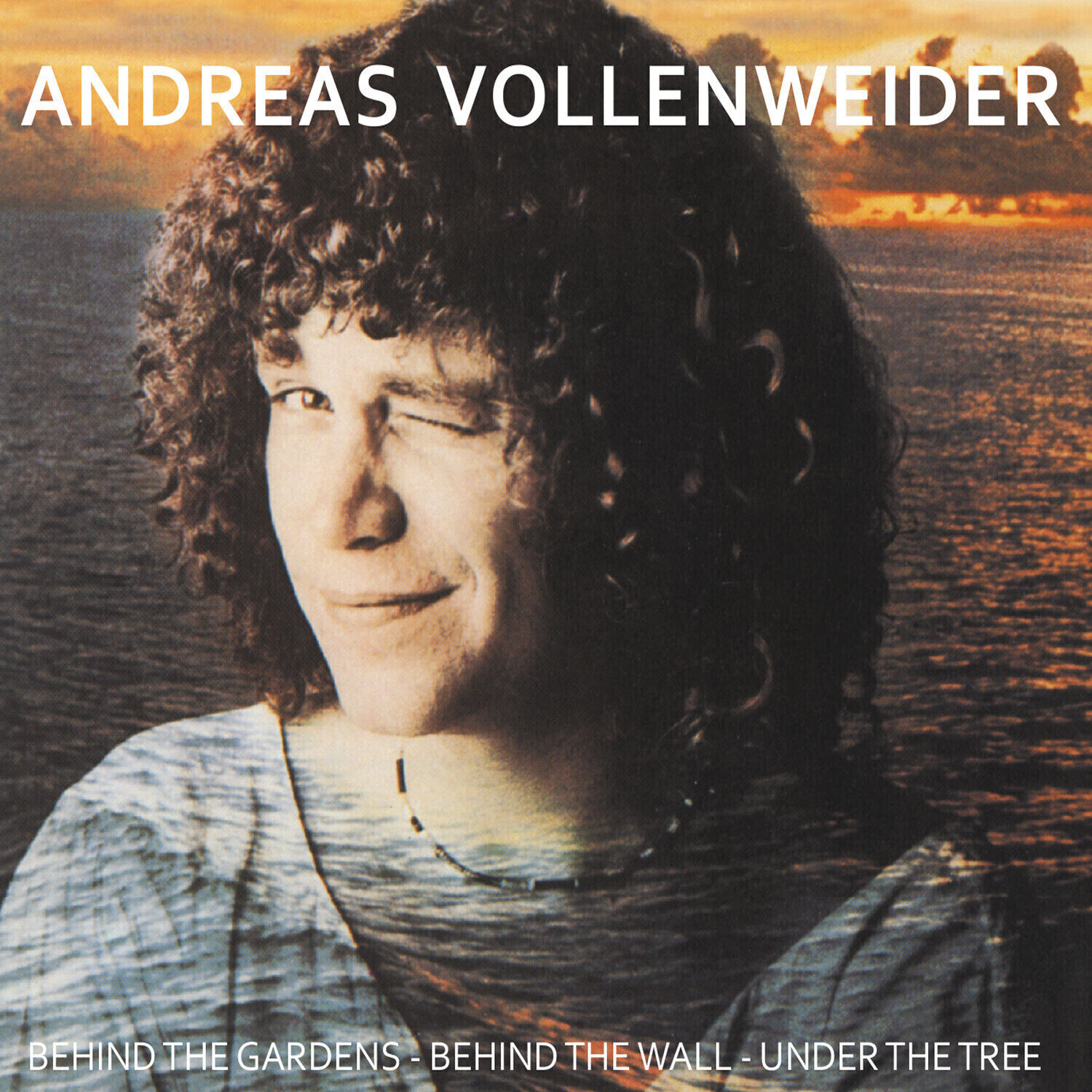 Disc de vinil Andreas Vollenweider - Behind The Gardens - Behind The Wall - Under The Tree (Reissue) (LP)