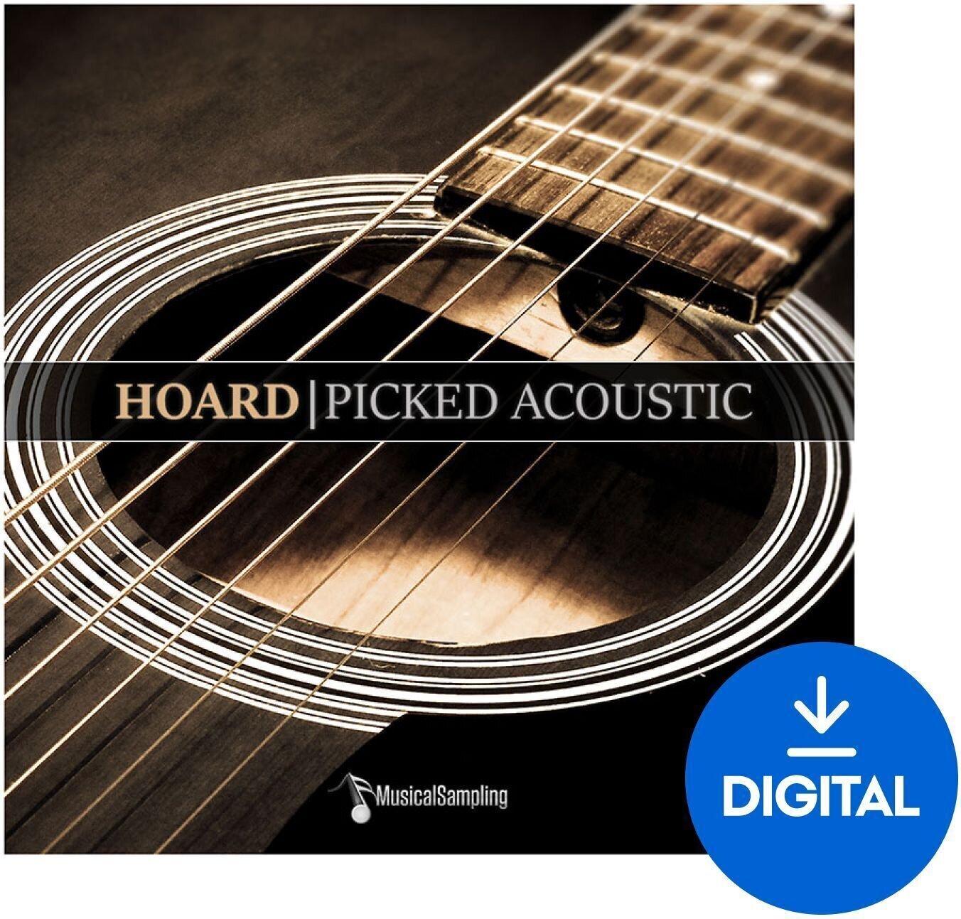 Banques de sons et samples Musical Sampling Hoard Picked Acoustic (Produit numérique)