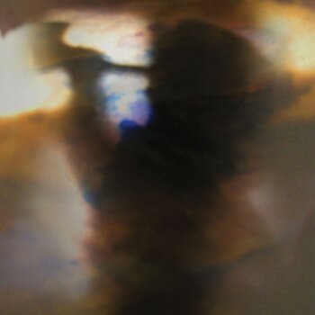 Vinila plate Animal Collective - Fall Be Kind (180 g) (12" EP) - 1