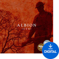 Soundlibraries für Sampler Spitfire Audio Albion Iceni (Digitales Produkt)