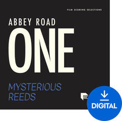 Geluidsbibliotheek voor sampler Spitfire Audio Abbey Road One: Mysterious Reeds (Digitaal product)