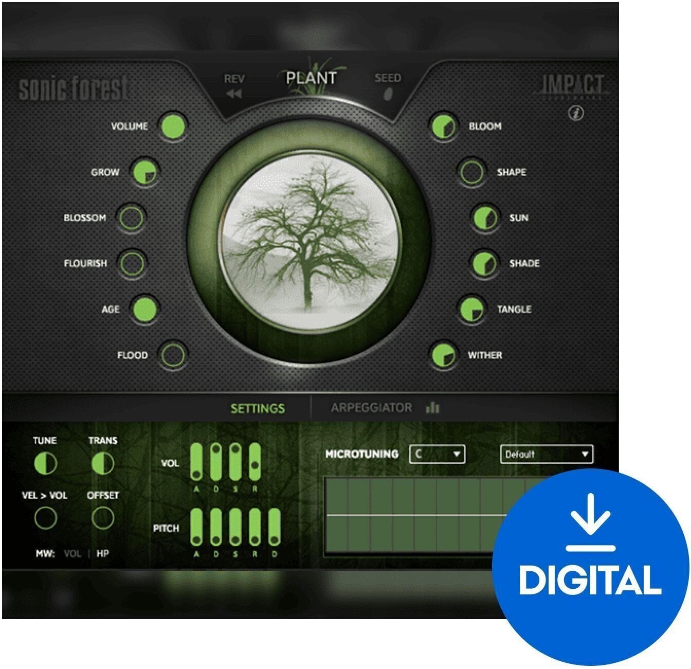 Banques de sons et samples Impact Soundworks Sonic Forest (Produit numérique)