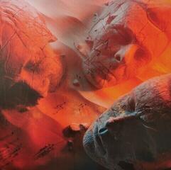 Disco de vinilo Muse - Will Of The People (LP)