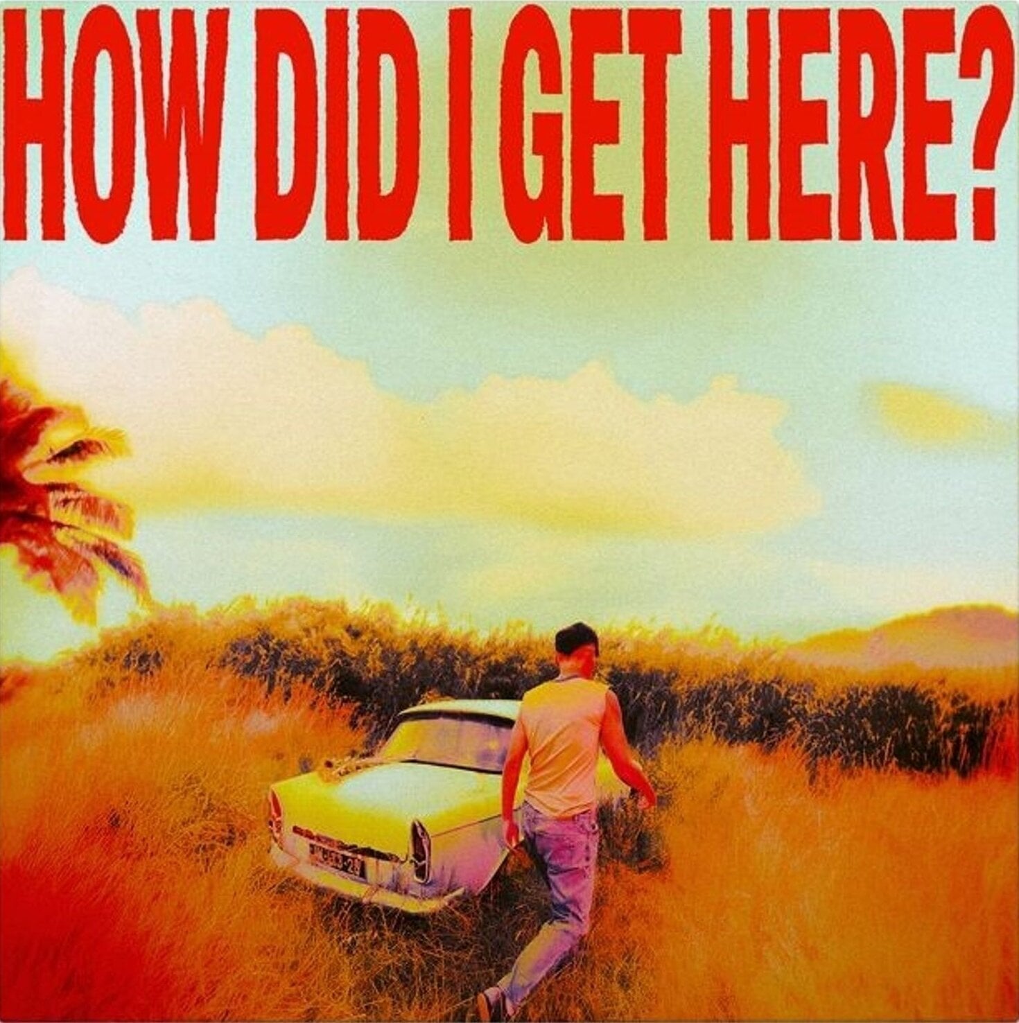 Disque vinyle Louis Tomlinson - How Did I Get Here? (Indie Exclusive) (White/Yellow Marble Coloured) (LP)