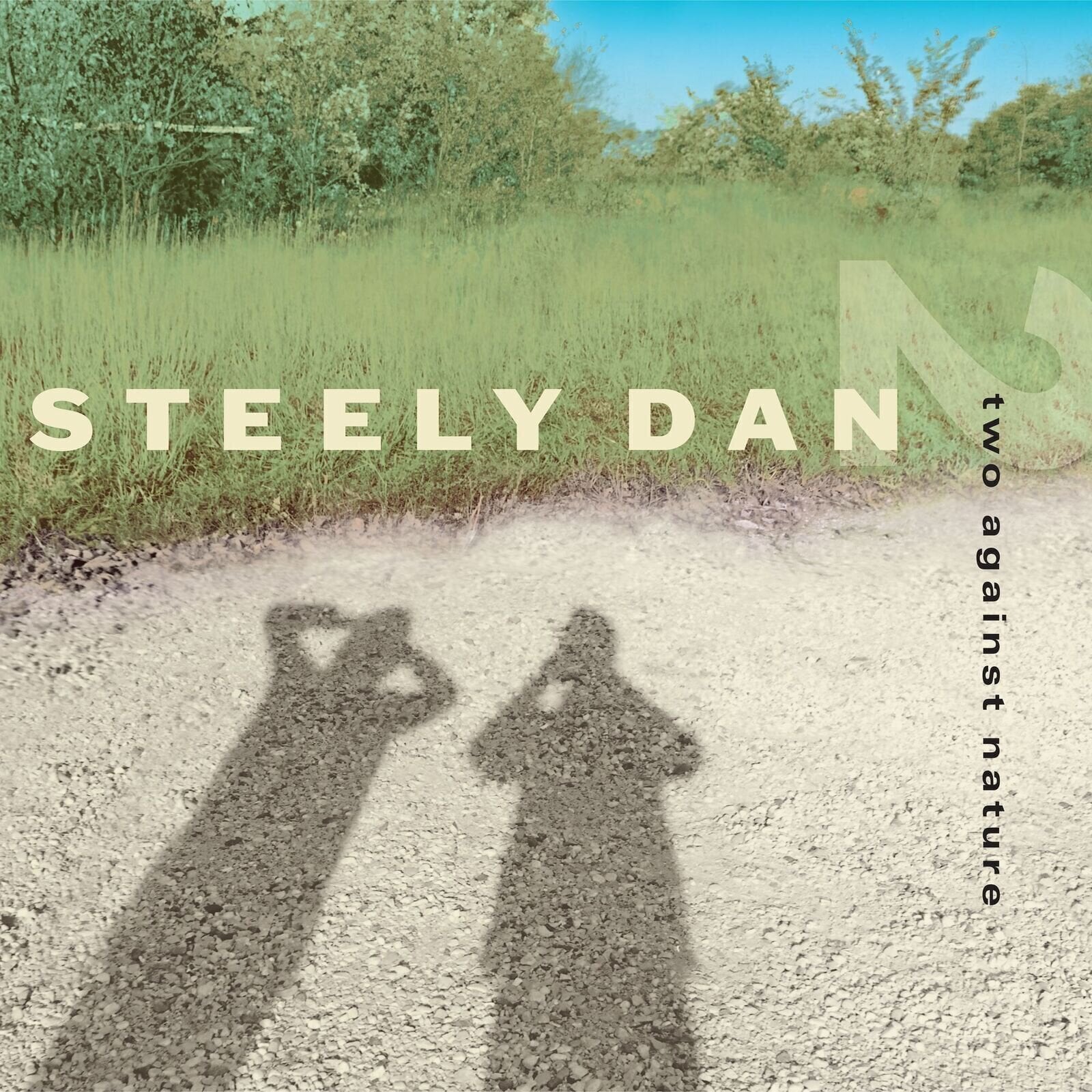 LP plošča Steely Dan - Two Against Nature (Limited Edition) (Clear Coloured) (180 g) (2 LP)