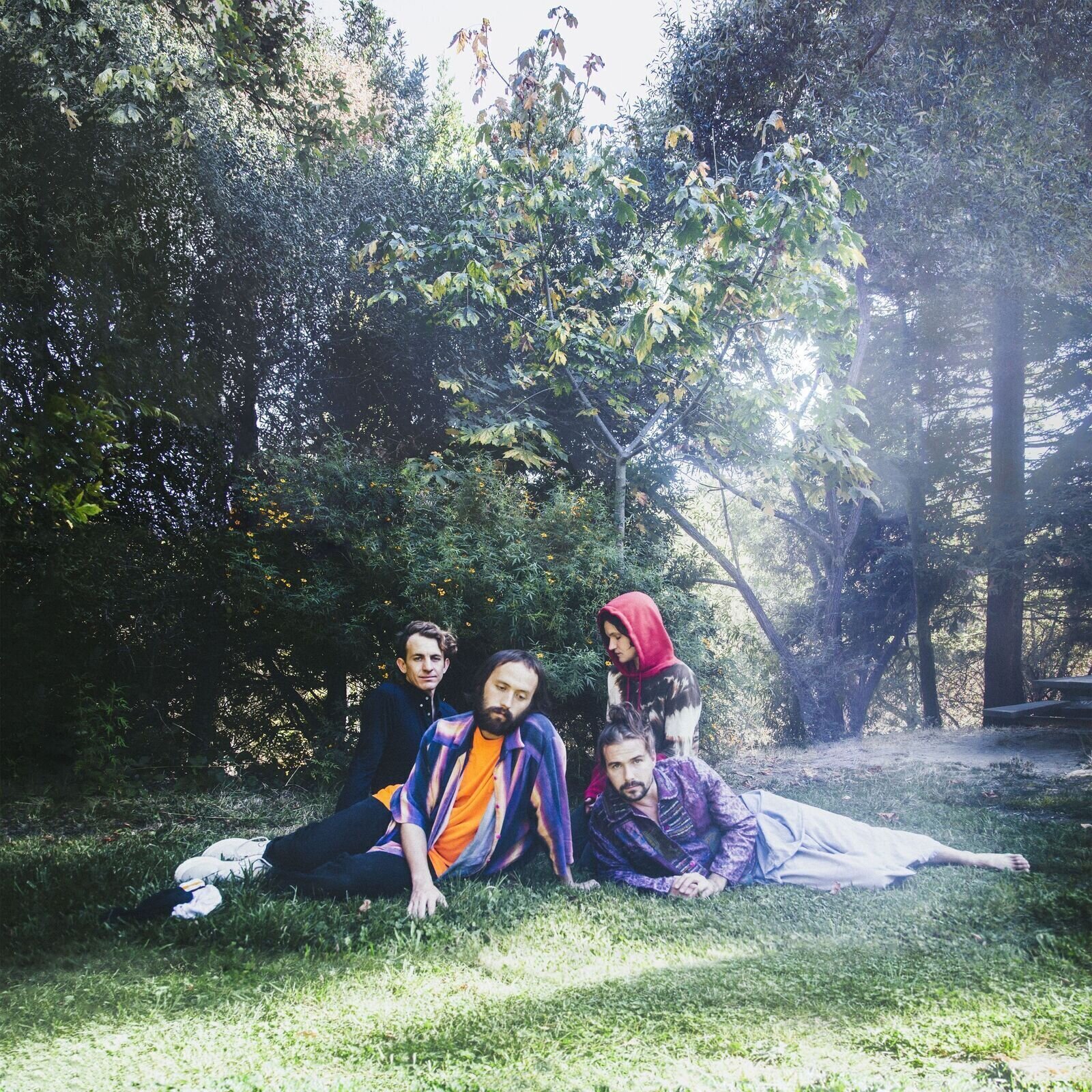 Disc de vinil Big Thief - U.F.O.F. (LP)